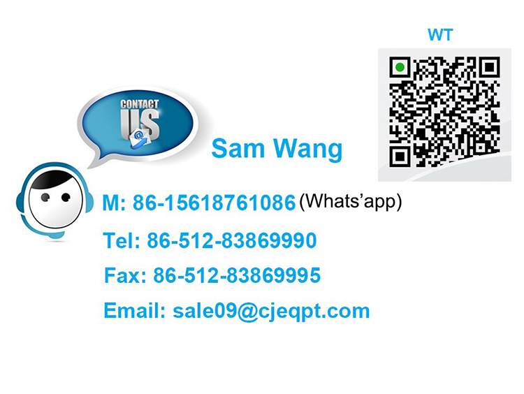 Curtain Side Truck Trailer Pull Down Locking Buckle Strap Fixed End With Combi Hook Steel