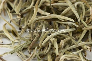 jasmine silver needle white tea