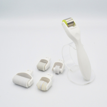 MNS 1.0mm 5 in 1 Skin Roller Kit