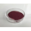 Food Additive Vitamin B 12 Powder