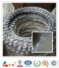 Galanized/PVC Caoted Razor Wire Fencing (Anping Yongsheng)