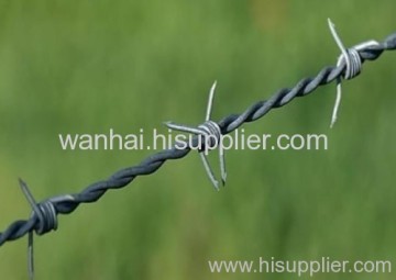 Double Twist Barbed Wire?