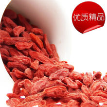 Organic Medlar / Chinese Wolfberry /Dreid Goji Berry