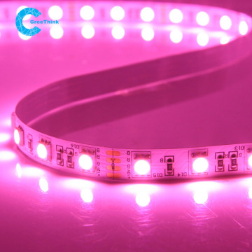 pink led strip lights 12v