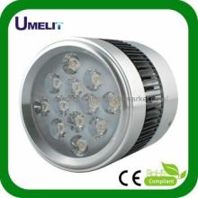 Excellent finishing15w LED Down Light with CE & Ro