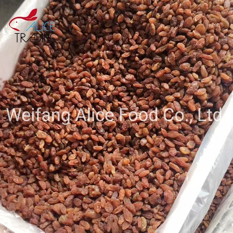 Bulk Packaging Factory Supply Dried Red Raisin Dried Sultana