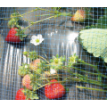 High quality blue strawberry support net