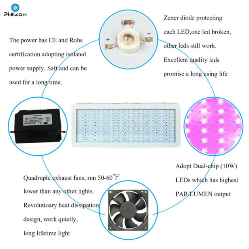 Blue Red Hydroponics 300W LED Coltiva la luce