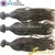 Best Filipino Virgin Hair 3 Bundles Vendors