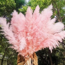 Wholesale Pink Pampas Grass with Vase - Long Reed Decoration for Christmas Home Decor