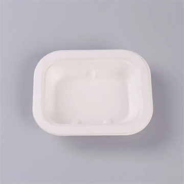 Biodegradable eco-friendly bagasse takeaway food tray