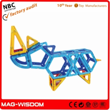 Kids Intellect Bricks Magnet Tiles