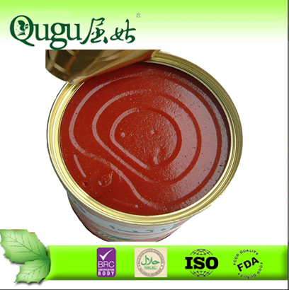 Tomato Paste/Tomato Sauce/Tomato Ketchup/Tomato Puree