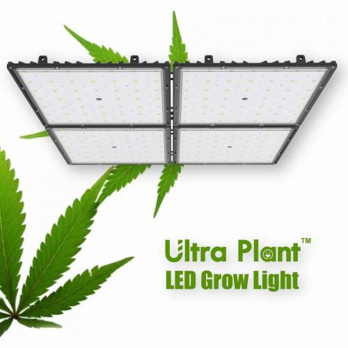 Lampu Tumbuh LED Spektrum Penuh Untuk Berbuah