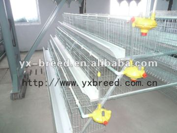 Silver Star Galvanized chicken wire cage