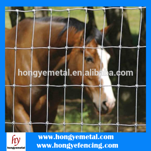 Horses Mesh