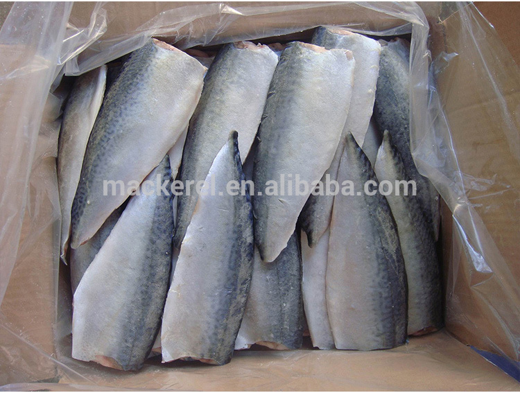 Filetto di pesce all'ingrosso Mackerel Natural Export