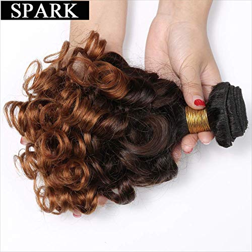 10A Ombre Bundles with Closure Brazilian 1b/4/30  Bouncy Curly  Bundles with 4x4 Lace Closure Short curly weave bundles