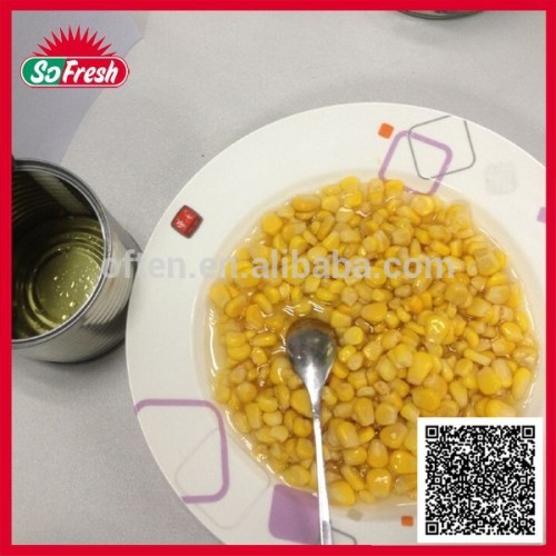 New arrival ingredient corn, corn canned, types of canned corn non gmo canned corn