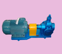 Ycb60 Circular Gear Pump for Lube Oil