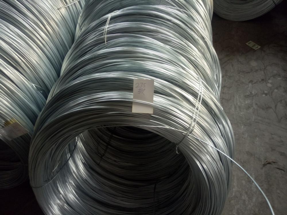 Galvanized Wire for Building