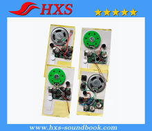 Recordable Sound Chip for Greeting Card