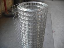 Stainless Steel galvanizelded wire meshed W