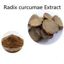 Buy online active ingredients Radix curcumae Extract powder