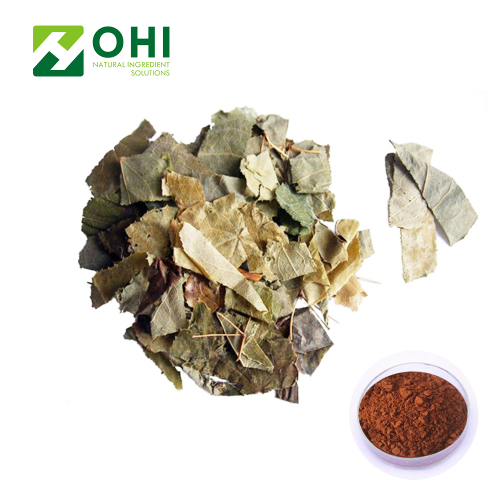 Epimedium Grandiflorum Extrakt Icariin Pulver 20% HPLC