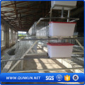 Minuman 120 Birds Poultry Cage Chicken Farm