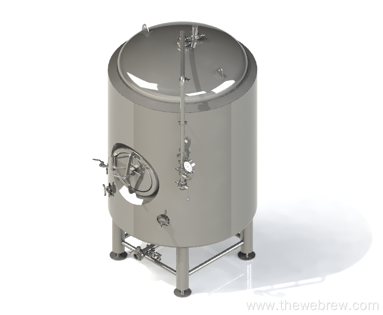 5BBL Stainless Brite Tank Single Wall