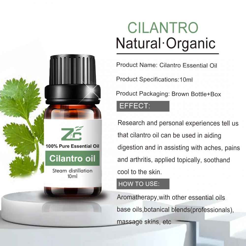 روغنهای اساسی اسانس اسانس Cilantro