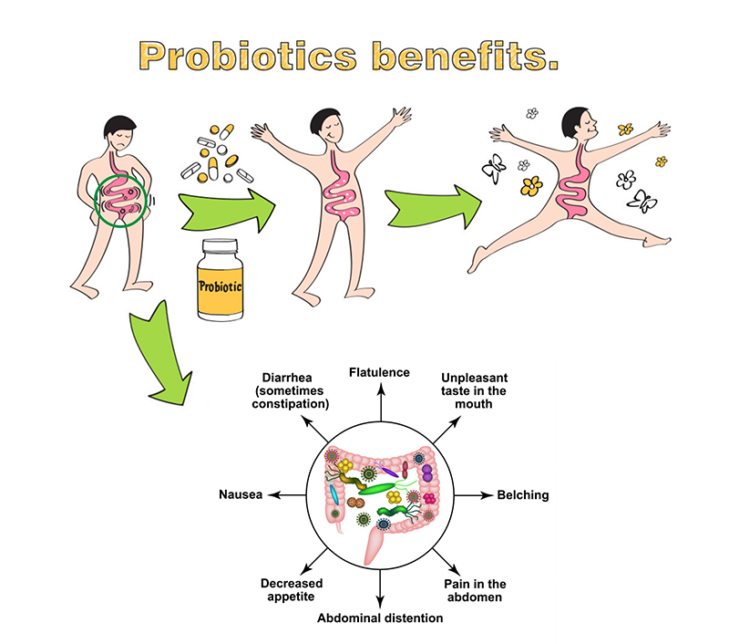 Click Premix Probiotics Powder Formula Mix Probiotics Powder