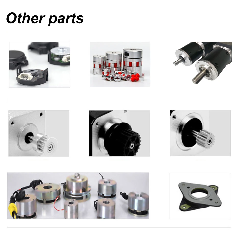 24mm 57mm 24 Volt 48volt 3 Phase Brushless Gear Motor Brushless DC BLDC Electric Motor Power 30W-300W Servo Motor