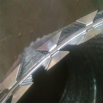 Clôture en fil de fer barbelé concertina galvanisé à bas prix