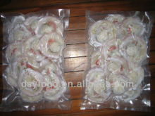 high quality IQF frozen half shell with roe sea scallop