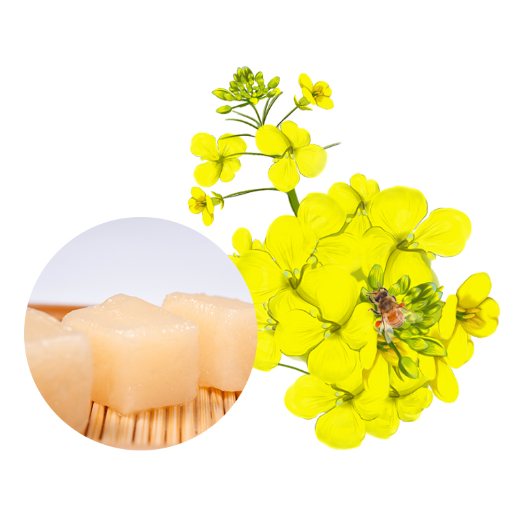 %100 Saf Tibet Platosu Bal Poşetleri Erkeklere Uygun Bal Doğa Balı Poşet6 100%Pure Tibetan Plateau Honey Sachets Honey Good for Men Nature Honey Sachet6