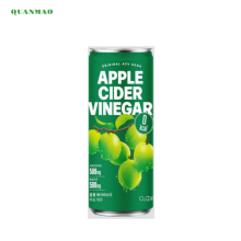 Delicious Sugar-Free Sparkling Apple Cider Vinegar Elixir