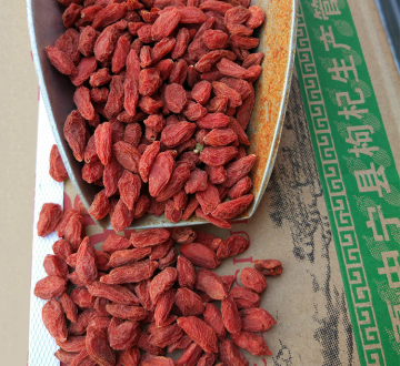 Organic Certificated  Goji Berry