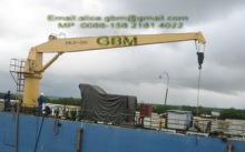 Cylinder-luffing Cargo Crane