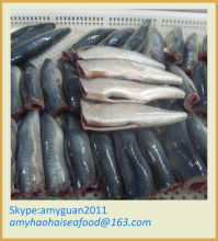 Frozen Fish (Mackerel )