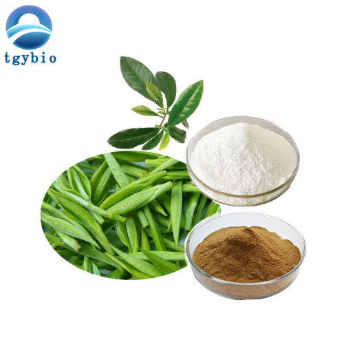 Top Quality l-theanine 99% 40% L theanine Powder