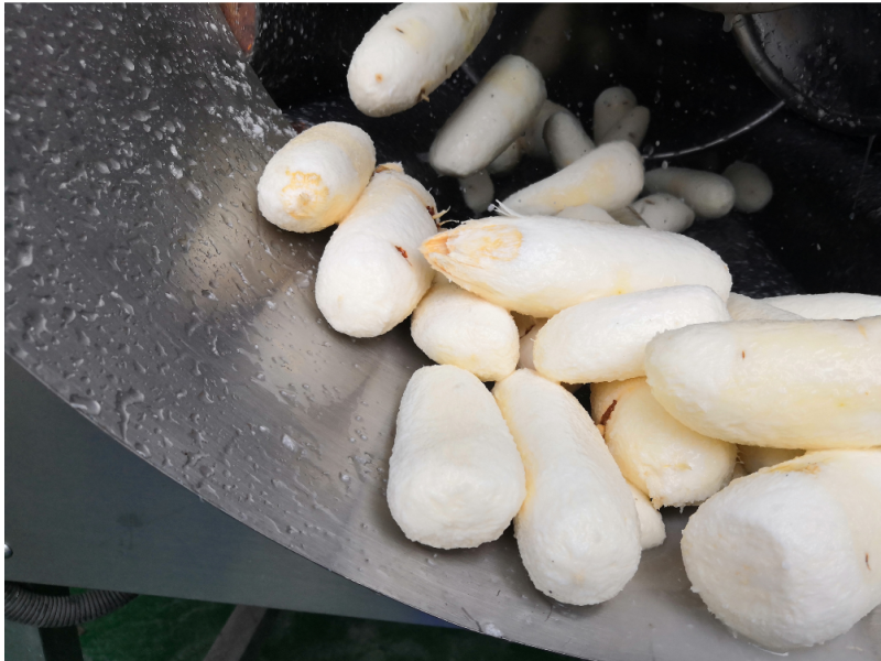 cassava peeling machine