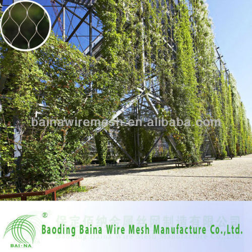 alibaba china supplier Wire mesh for growing plant/Wire mesh green wall