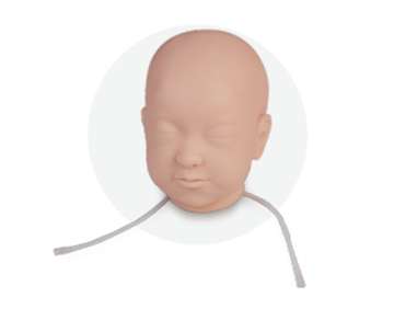 Infant Head Venipuncture Training Model
