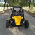 2019 newest 150cc/250cc cheap adults racing go kart