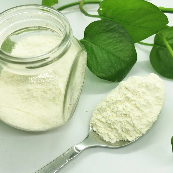 Best Price of Dehydrated Vegetables Garlic Powder with Different Specifications