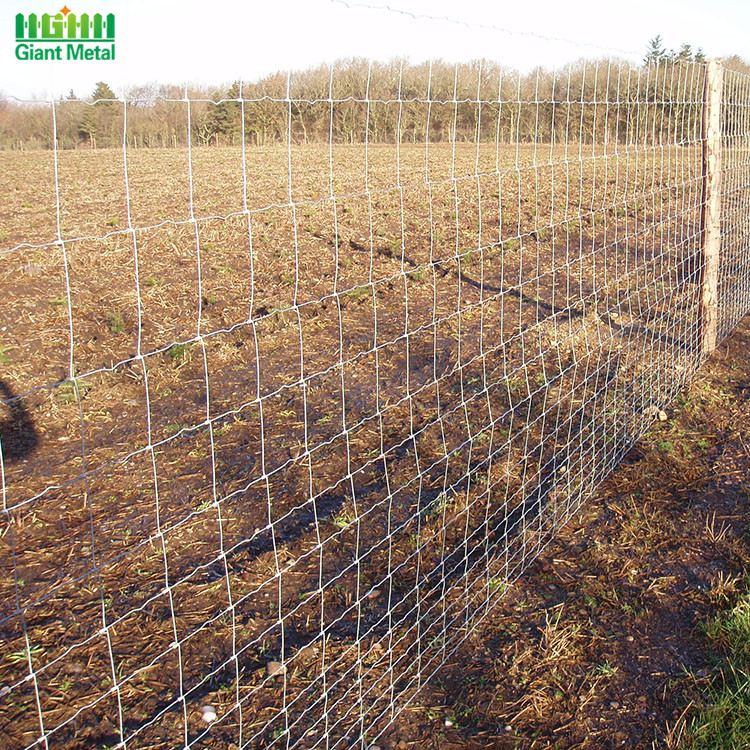 Hinge Joint Woven Galvanized Farm Field Wire Fence