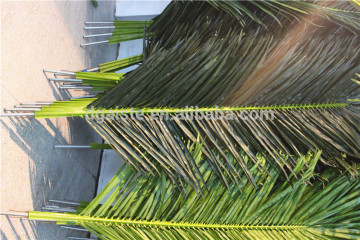 210cm long artificial palm leaf fan products EZLY09