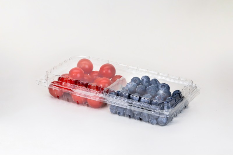 12 oz fruit clamshell